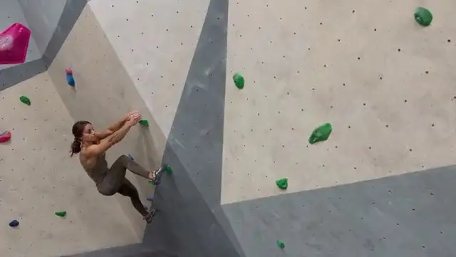 Seedance 2.5 example 1